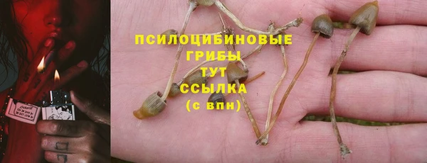 мяу мяу кристалл Алексин